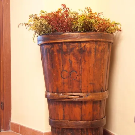 Bed & Breakfast Casale L'antico Carro 4*