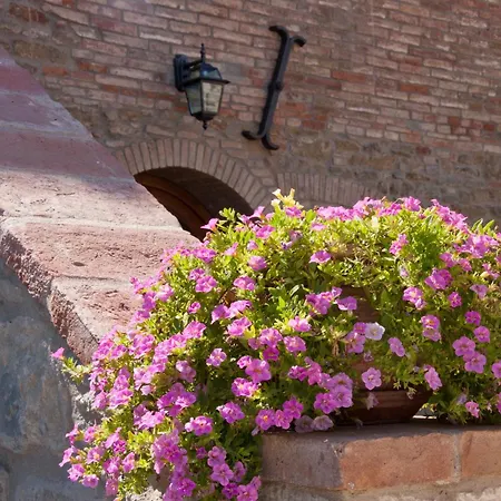 Bed & Breakfast Casale L'antico Carro 4*