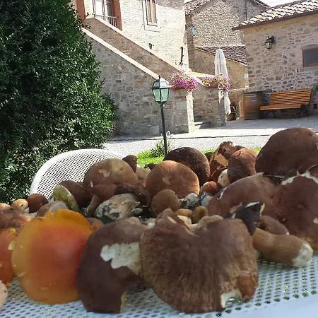 Bed & Breakfast Casale L'antico Carro 4*