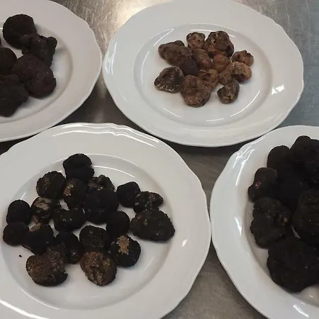 Casale L'antico Carro 4*