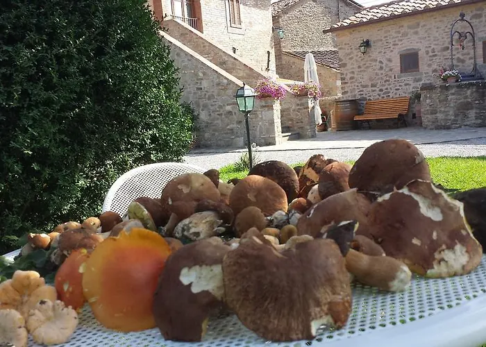 Bed & Breakfast Casale L'antico Carro 4*