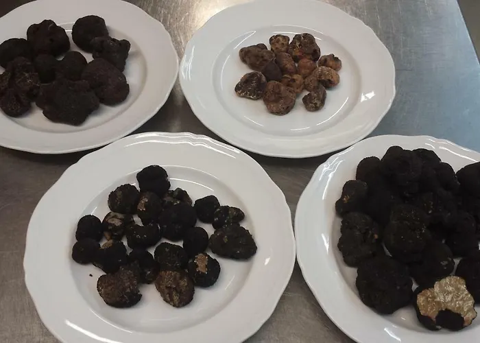 Casale L'antico Carro 4*